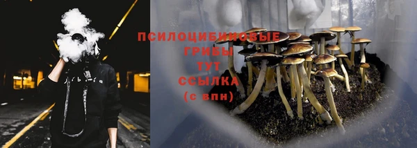 2c-b Баксан