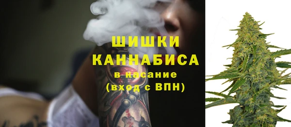СК Белокуриха